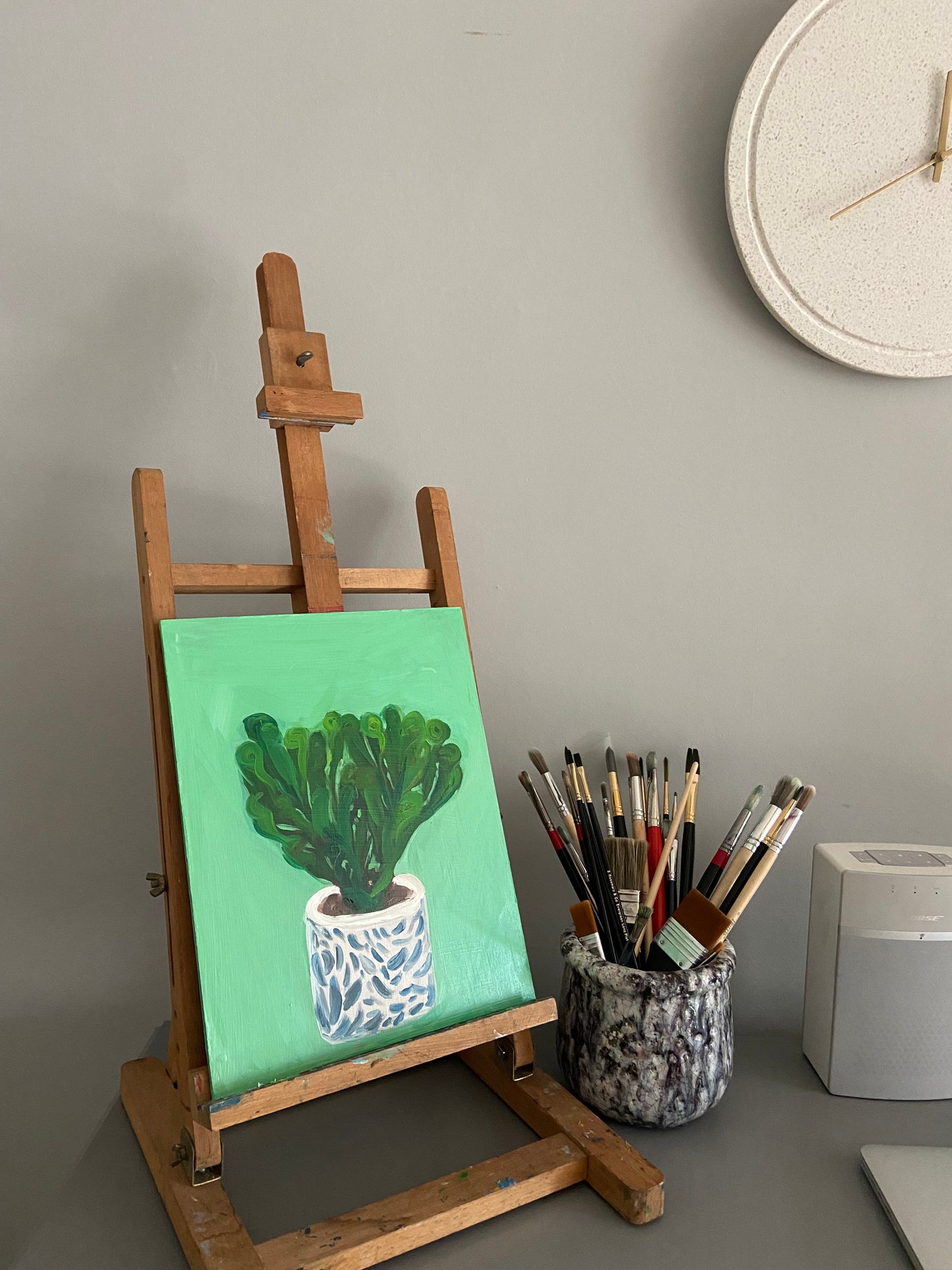 Cactus in ceramic pot