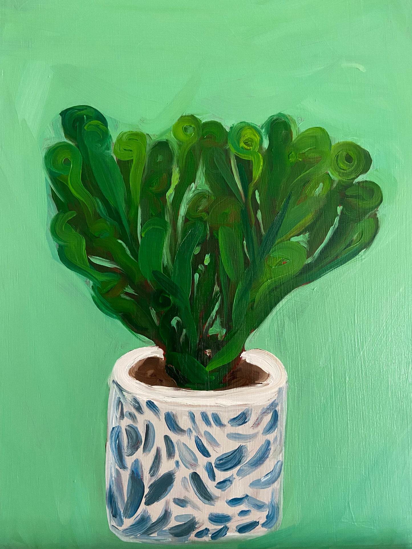 Cactus in ceramic pot