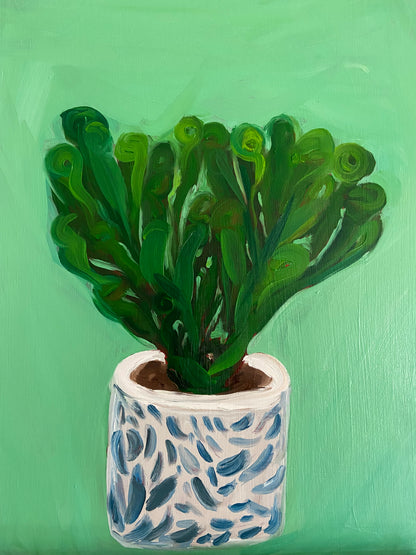 Cactus in ceramic pot